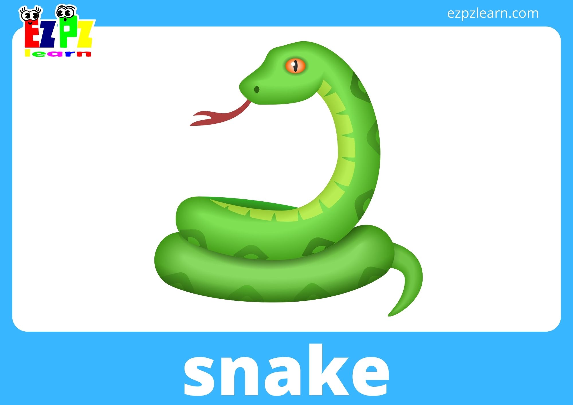 snake